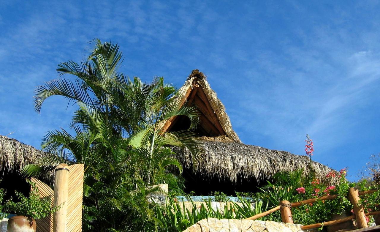 Amuleto Hotel Ixtapa  Zewnętrze zdjęcie